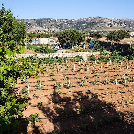 Vrahia Appartamento *