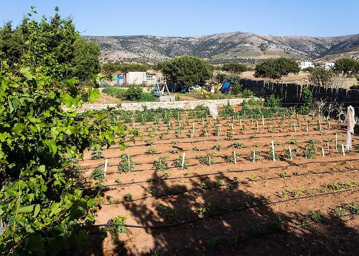 Vrahia Studios Апартаменты *